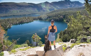 Mammoth Vacation Rentals