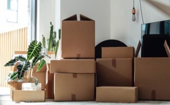 Custom Cardboard Boxes