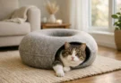 best cat tunnel bed