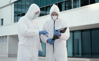 professional asbestos removal