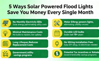 solar powered flood lights