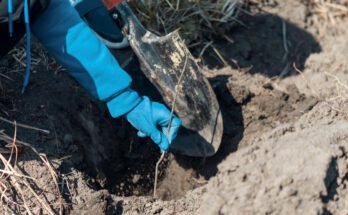 utility trenching service in st albans