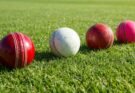 How to Turn Cricket Knowledge into Real Rewards