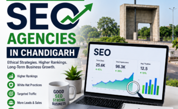 Top 5 Best White Hat SEO Agencies in Chandigarh
