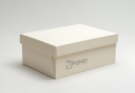 Mastering the Cardboard Shoe Box: A Strategic Manual for Retailers and Collectors