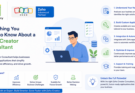 Everything You Need to Know About a Zoho Creator Consultant