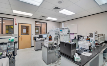 LCMS Lab Challenges and Solutions in Routine Analysis