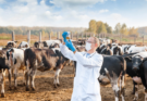 Veterinary Medicine Franchise in Haryana | Trusted Veterinary Pharma Manufacturers