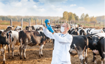 Veterinary Medicine Franchise in Haryana | Trusted Veterinary Pharma Manufacturers