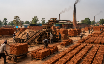 Best Bricks Manufacturer in India – Why Mahaluxmi Bricks is a Trusted Choice