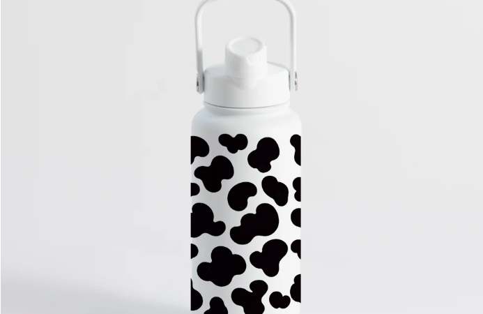 Leak-Proof School Water Bottles Every Parent Should Know About